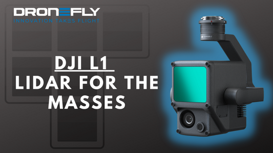 DJI L1 - LIDAR For The Masses