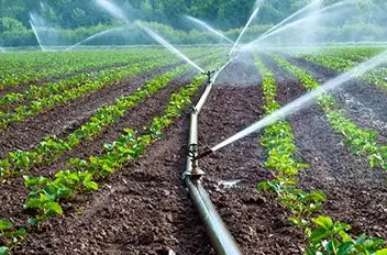 Irrigation Management